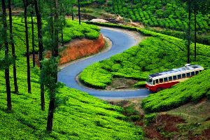 Book drop taxi service in Kadayanallur